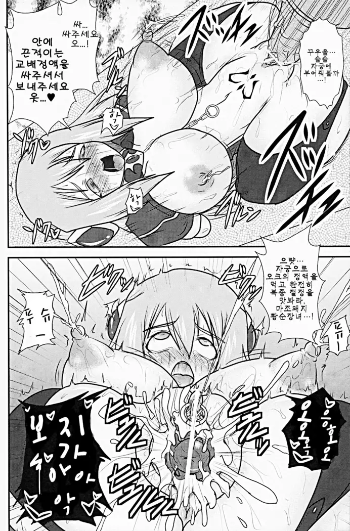 Shield Knight Elsain Vol. 9 SLAVE COLOSSEUM