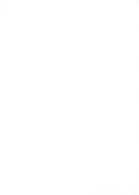 (C62) [Digital Lover (Nakajima Yuka)] D.L. Action 13 (Ragnarok Online) [English]