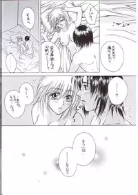 [L.S.P.] FLAVOR 03 (Kidou Senshi Gundam SEED)