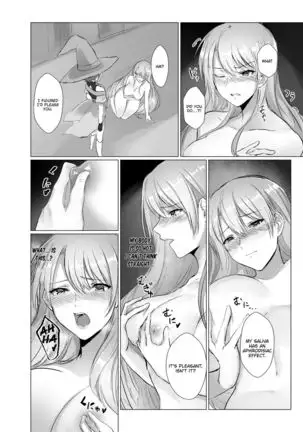 The Unsullied Blade ~The Forced Genderswap of a Proud Prince~