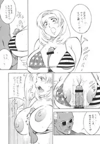 (CR33) [Rippadou (H-H)] H-H Soushuuhen 2 (Various)