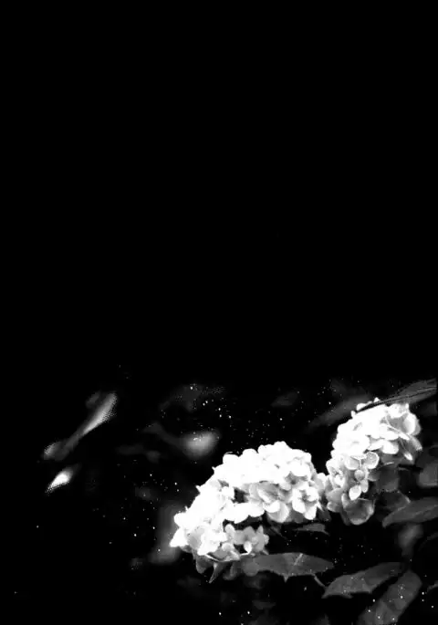 Nora Neko to Rainy Days {Shotachan}