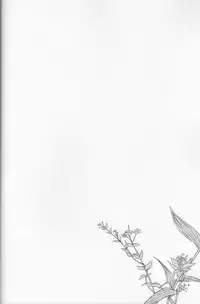 (C82) [Niratama (Sekihara, Hiroto)] Teikakazura no Hana to Hototogisu (Smile Precure!)