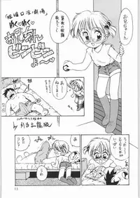 [WORKS-MARUMA (various)] ENAMEL