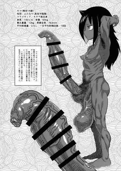 Dankon no Ethnography