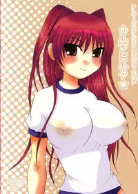 (SC29) [HONEY BUMP & Platina Blonde (Nakatsugawa Minoru & Mizutama)] Karua Milk (ToHeart 2)