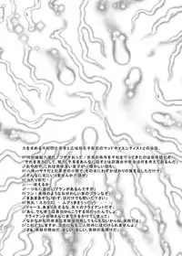 (C76) [Kurodamaya (Akadama)] Rokka Kaimetsu ~Mikkame~ (Mahou Shoujo Lyrical Nanoha)