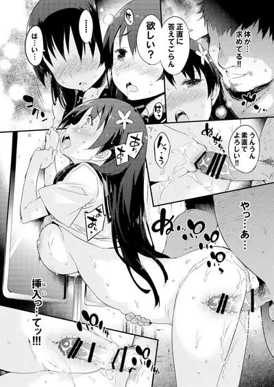 Seiteki Koukishin Shoujo