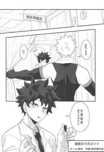 (C99) [Yakiniku Batake (Yuu)] Itoshi no Mukosei (Boku no Hero Academia)