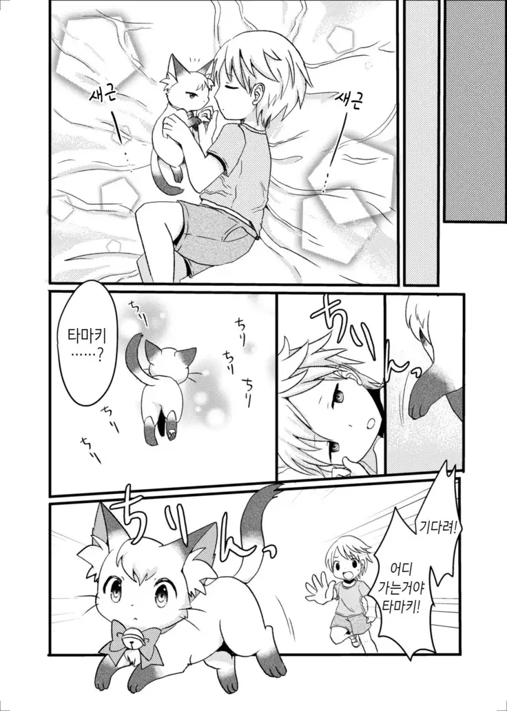 Nekomata no Tamaki-chan