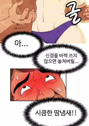 Chauffeur Service Ch.1-30.5