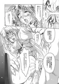 聖王妃 エルレイン(田宮秋人) Princess St