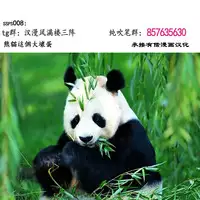 [Sakuko Seisakusho (Sakusin)] Watashi wa Musuko no... Dutch Wife [Chinese] [关二爷汉化组]