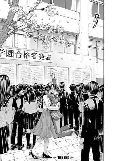 hasebe souutsu collection