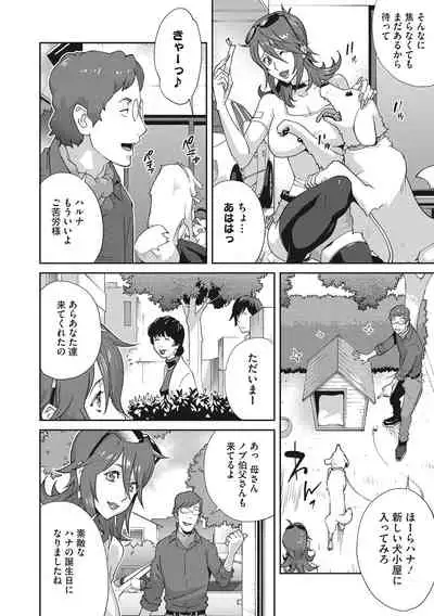 Nyuugyaku no Rudbeckia