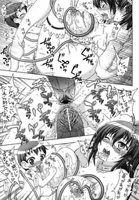 [chaccu, TinkerBell] Inyouchuu ~Ryoushoku Gakuen Taimaroku~