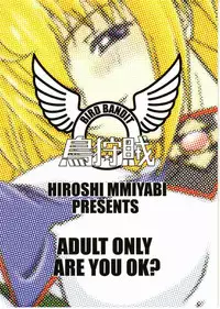 [Hisoshi Miyabi, Bird Bandit] Explosion 12 Bosuna (UFO Princess Walkure)