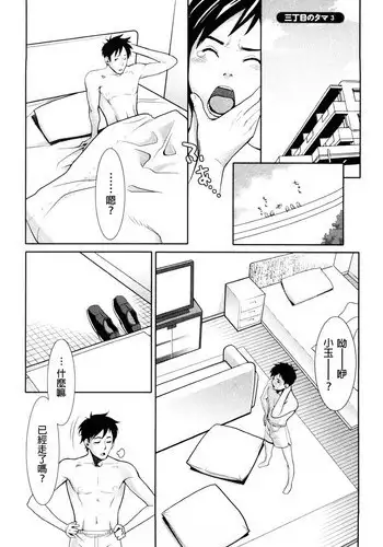 [Mikami Cannon] Sanchoume no Tama | Tama from Third Street 3 (Mecha Mucha H) [Chinese] [鸚鵡學舌個人漢化]