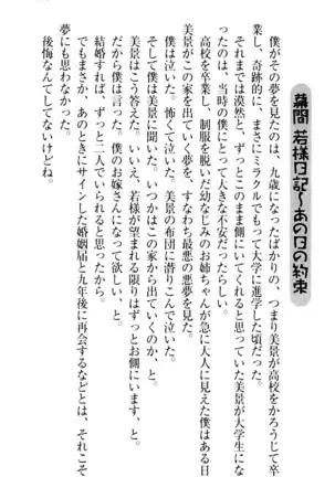 年上メイドの新婚日記