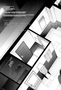 T-10 SHiN SHiN 2 BAD (English)