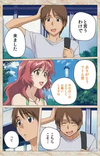 [Cyberworks/TinkerBell] Aniyome wa Ijippari #02 Complete Ban [Digital]