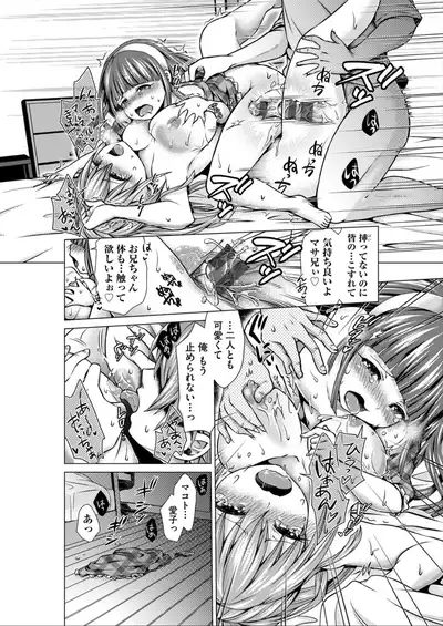 Harem Maid No Damedame Ecchi