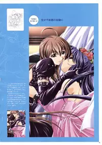 Natural 2 Duo Visual Fan Book