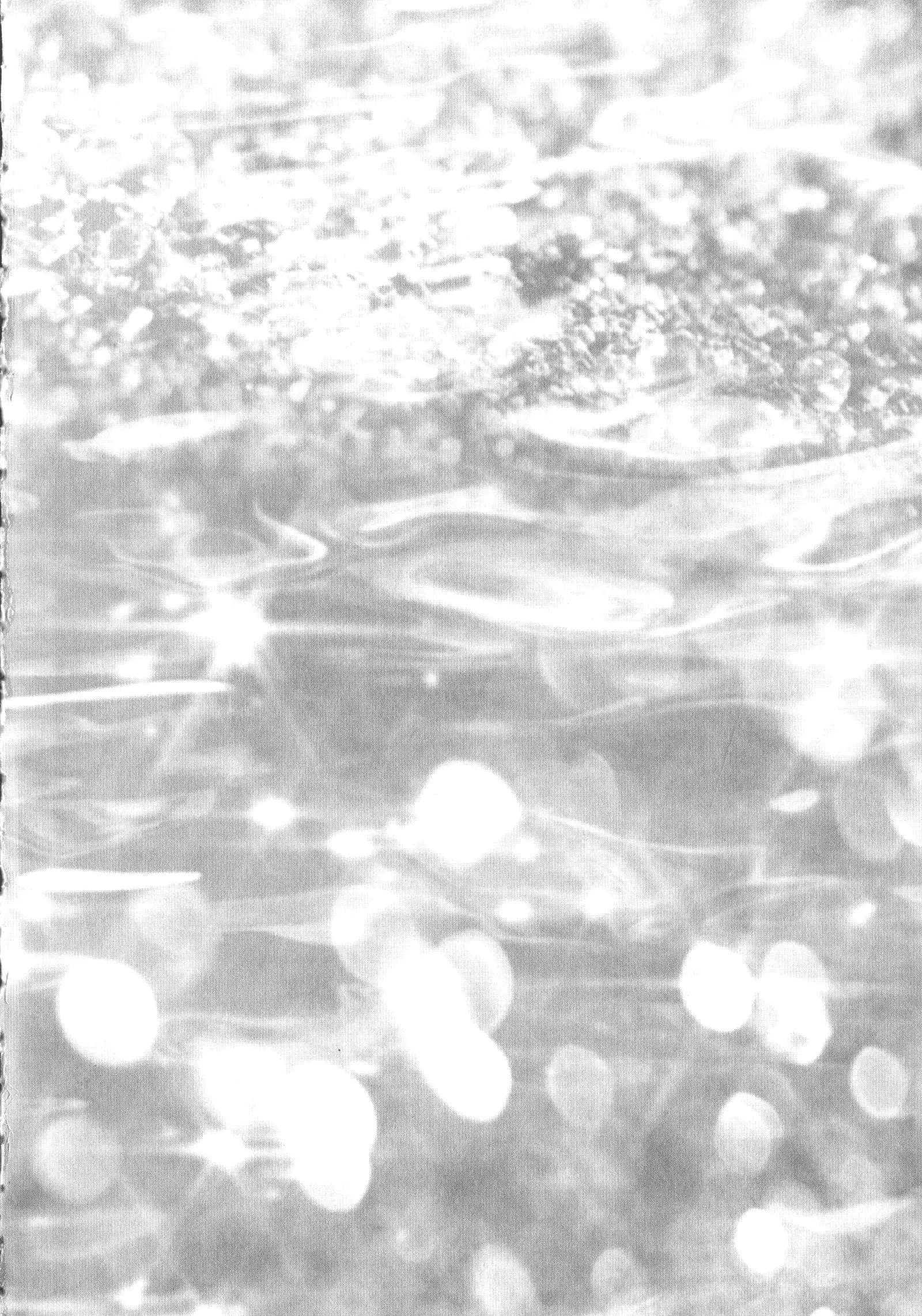 Chisato Neechan to Gachi-hame