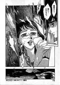 [Fujii Akiko, Akiyama Michio] OO III Aiyoku no Ougonritsu