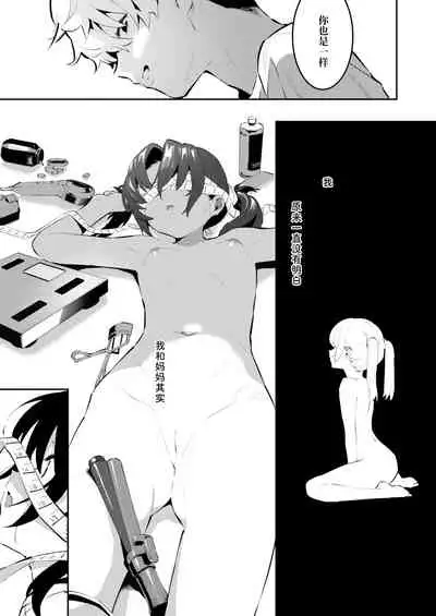 meika no happi kazokukeikaku（chinese）