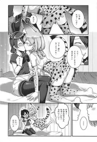 (C92) [Tendoushi (Fukuroumori)] Daisuki ni Kimatteru!! (Kemono Friends)