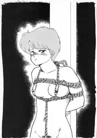 (C37) [Marukiri Plan (Kiryuu Reia)] DOG FIGHT COLLECTION (Urusei Yatsura)