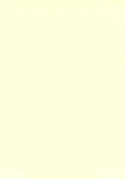 Dakara Tokyo Shounen na wake