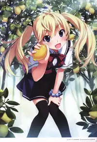 The Fruit of Grisaia Visual FanBook