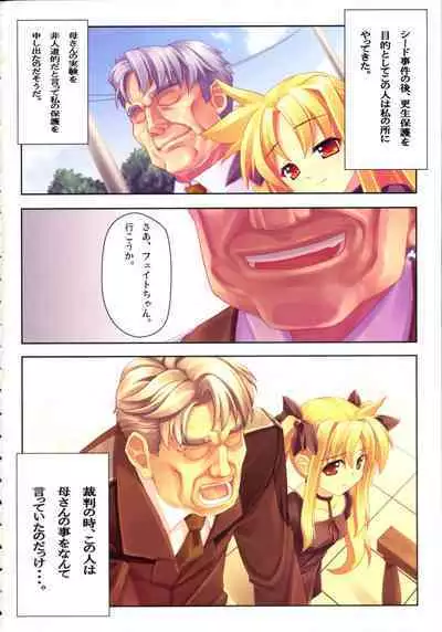 Kanzen Choukyou Fate Shiki