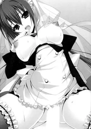 年上メイドの新婚日記