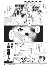 [Phoenicia Masako (Mari Amo)] Marshmallow Box