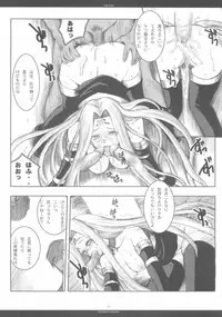 (CR37) [R-WORKS (ROS)] THE SAGE (Fate/stay night)