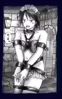 [Nyoninka Kenkyuujo (milda7)] Onna ni Sareta Yuusha Rya