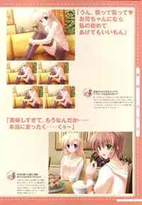 Canvas2 ~茜色のパレット~ ビジュアルファンブック