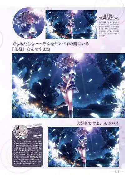 Amakano 2+ Visual Fan Book