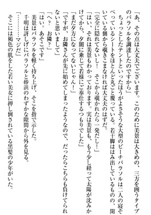 年上メイドの新婚日記