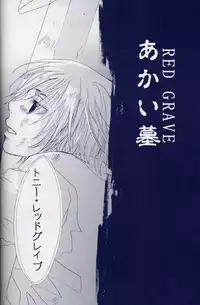 [Devil May Cry] Fragment (VergilxDante)