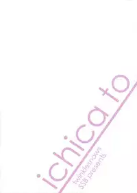 (COMIC1☆5) [47sp, SSB (Takashina@Masato, Maririn)] ichica to (IS <Infinite Stratos>)