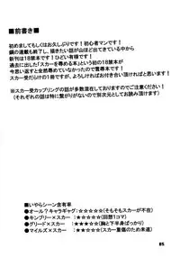 (C80) [Huujin (Shoshinsha Man)] Scar o Hazukashime Naosu Hon (Fullmetal Alchemist)