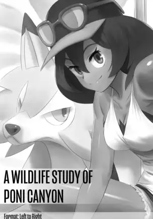 A Wildlife Study of Poni Canyon