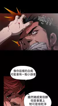 捕猎母猪 [中国翻訳]