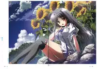 [minori] Natsuzora no Perseus Visual Fan Book