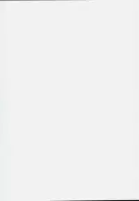 (Reitaisai 13) [Kamikadou (Ginyou Haru)] Gensoukyou Rakuenka Keikaku 17 (Touhou Project)