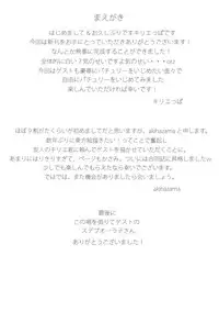 (Aka no Hiroba 8) [Depression (Kirieppa)] Seishin Reizoku (Touhou Project)